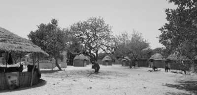 Gambia, The - Abenteuerreise nach Paradise Island in Afrika - Gambia (Guided Trip) 😊 - JoinMyTrip