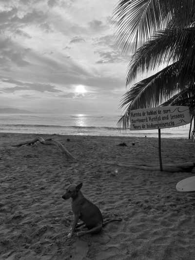 Mexiko - Discover Mexico with a local... Chapter: Tepoztlan,Sayulita, Tequila-train and more Mexican Marvels Expedition! - JoinMyTrip