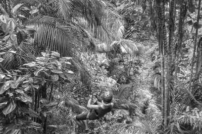 Ecuador - Mindo Valley - 14-Day Andean Cultural Odyssey in Ecuador