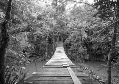 Pakistan - Serenity of Sharan Forest: Discover Pakistan's Hidden Gem for a Tranquil Escape - JoinMyTrip