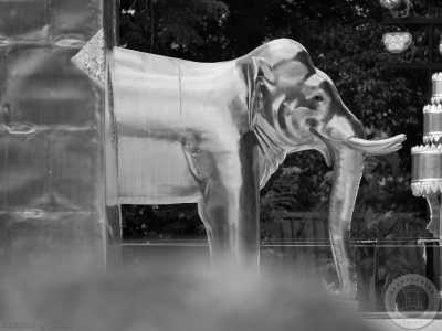 Thailand - Chiang Mai Gate Market - 🇹🇭 Nordthailand entdecken - Thailand Backpacking Trip vom alten Königreich Sukhothai bis nach Pai 🍻🏯🌿🐘 Nightlife, Culture, Nature & Fun - 2