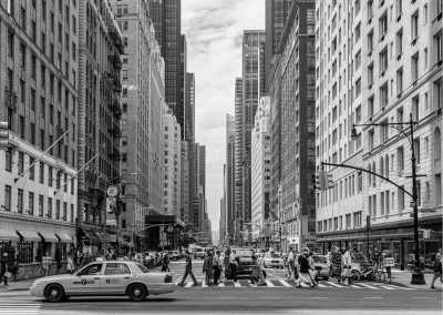 Vereinigte Staaten - New York - Experience A Home Run Tour: Explore Iconic Ballparks and Witness Thrilling Sports Action in the US!