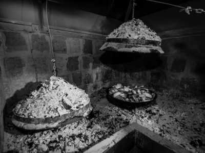 Croatia - Lokrum - Croatian Coastal Magic: 4 Days of Dubrovnik Delights - 4