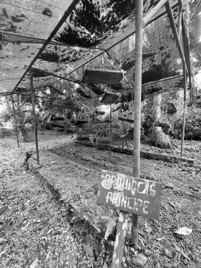 Sao Tome and Principe - São Tomé and Príncipe - Travel to São Tomé and Principe: Africa’s Hidden Paradise Must Explore - 3