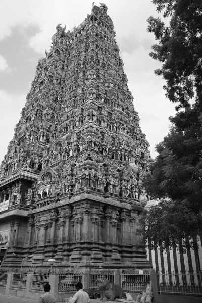 India - Madurai - Ancient South India: Experience the Exotic Ancient Temples and Enticing Hills of Tamilnadu - 6