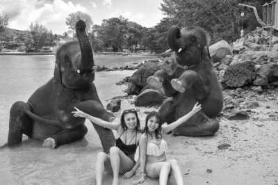 Thailand - Bathing with Elephants - Swimming with Elephants and Snorkeling in Phuket, Thailand: Island Paradise, Majestic Elephants, Spectacular Snorkeling, and Local Cuisine - 8