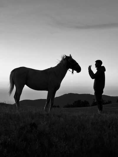 Romania - Veneția de Jos - Romania On Horseback - Horses and Unforgettable Memories - 2