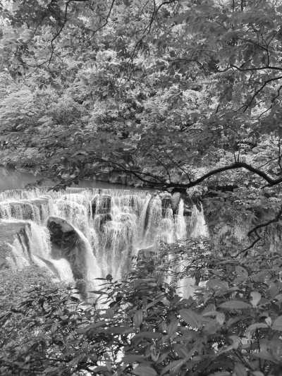 Taiwan - Taipei City - Get Full of Your Experiences in Taiwan's Autumn - 2