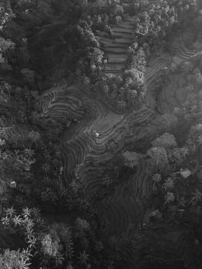 Indonesien - Ubud - Co-Working Retreat in Canggu, Bali | 7-Bedroom Private Pool Villa | Work and Explore - 6