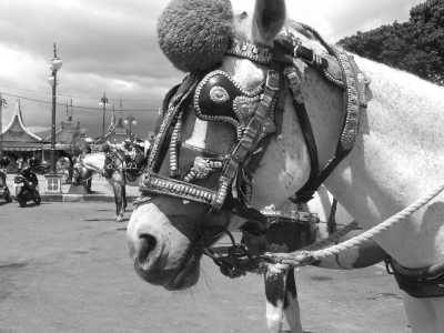 Indonesia - Bukittinggi - Hiking to Marapi Volcano and stay at a lake inside a volcano, West Sumatra, Indonesia - 1
