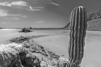 Mexico - Isla Espiritu Santo - Baja California Mexico: 8 Day Whale & Whale Shark Safari + Glamping - 1