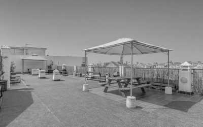 Spain - Málaga - CoWorking & CoLiving in Malaga with a Local: Andalusian Tour, Tapas Delights, Local Pools, Music Vibes, and Breathtaking Sunsets! 🇪🇦🌴 - 11