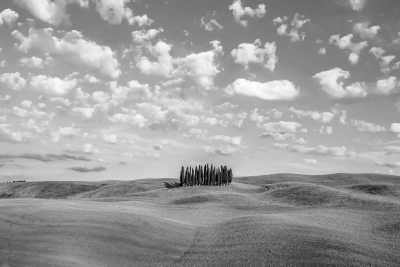 Italien - Val d'Orcia Scenic Spot - Walk in the wheat fields as in "Gladiator" movie! Roadtrip in Florence & Val d'Orcia, Italy with wine tasting - 1