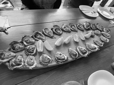 Southern Europe - Pelješac - Dubrovnik Coastal Escape – Wine, Oysters & Hidden Gems with a Local - 4