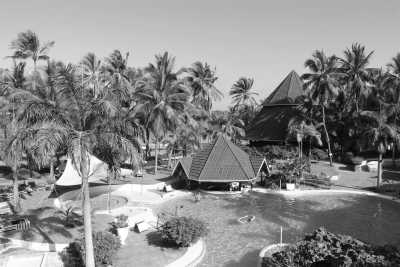 Kenya - Diani Beach - Explore the Kenyan Coast - 3