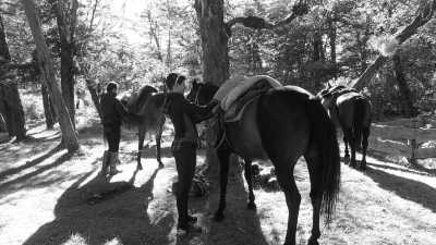 Argentina - Rio Turbio - Majestic Horse Riding Adventure,"Eye To Eye with the Condor" - 1