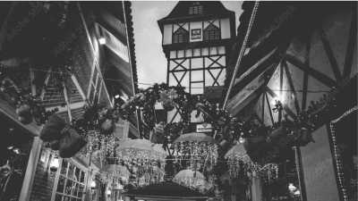 Brazil - Campos do Jordão - Brazil as you've never seen! Embrace Nature's Beauty at Serra da Mantiqueira - 2
