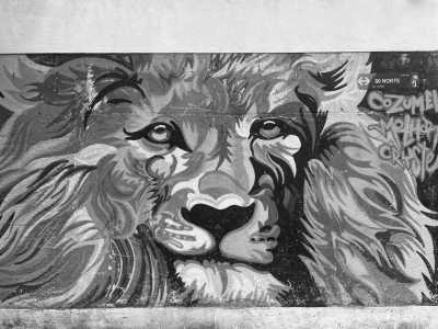 Mexiko - Playa del Carmen - Tacos, Tequila and Turtles - Yucatan, Mexico - 2