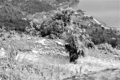 Nepal - Pokhara - Panchase Village Hiking from Pokhara, Nepal! Stunning Annapurna range view and great wildlife - 5