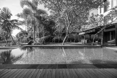 Indonesia - Ubud - Explore Bali's Gems: Ubud, Canggu and Uluwatu 11-Day Adventure - 3