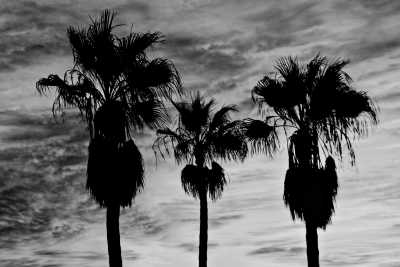 Spanien - casa volcan - Coworking and Adventure in Fuerteventura for 30something: Surfing, Diving, and Excursions in a Canary Villa - 3