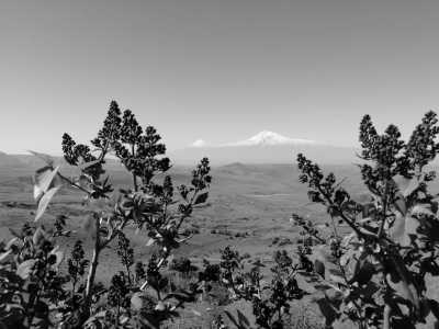 Armenia - Yerevan - Unveiling the Rich History of Armenia: 8-Day Exploration - 3