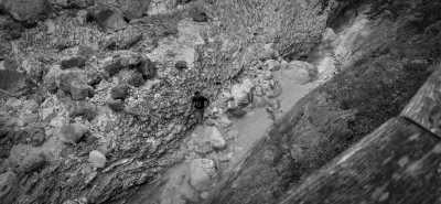 Germany - Zauberwald - A Magical Experience | Hiking & camping in German Alps | Walkshop Light | Berchtesgadener Land | Königsee | 5 days - 10