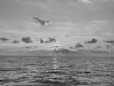 Montenegro - Budva - Explore Montenegro in April - Boat trip, BBQ, Hidden Gems - 2