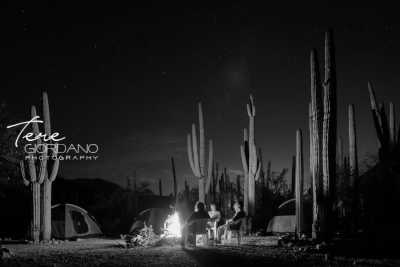 Mexiko - Reserva de la Biósfera Tehuacán-Cuicatlán - SOUTH MEXICO WONDERS, DAY OF THE DEAD EDITION - 5