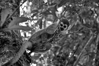 Ecuador - Quito - Ecuador Rundreise ab Quito! Anden und Amazonas Urwald Abenteuer Trip