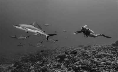 French Polynesia - Rangiroa - Tuamotus - Französisch Polynesien - Einzigartiger Segeltörn - 2