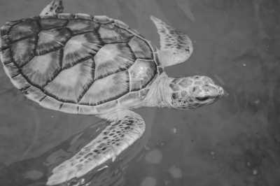 Malaysia - Port Dickson - Awesome Co-Working Trip in Kuala Lumpur, Malaysia with a local and travel photographer - 1