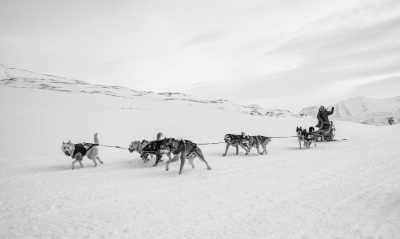 Nordeuropa - Svalbard - Spitzbergen - Arctic Expedition ❄️ Dog Sledding, Glaciers and More! - 1