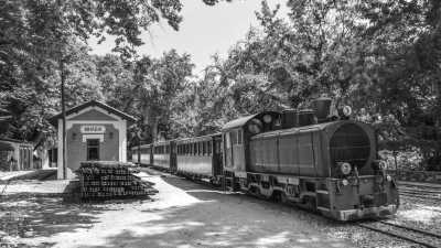 Greece - Milies - Greece Local Experience: Mountain Pelion Adventure in Centaurus Mt - 1