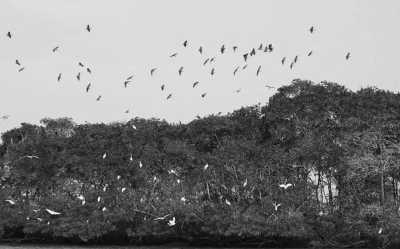 Brasilien - Parnaíba - “Route of Emotions” Adventuring Across the Beautiful Nature of 3 Northern Brazilian States - 3
