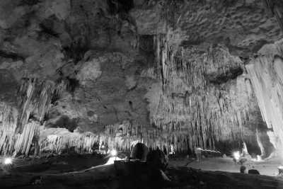 Slowenien - Postojna - Road Trip to Slovenia ✈️ Ascension Day - Driving through the hidden jewels of Europe, Long weekend, City tour, Nature, Food, Party and many more 🥳