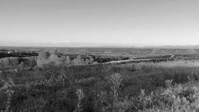 Italien - Acqui Terme - Monferrato Wine Weekend: Explore Italy's Enchanting Vineyards - 2