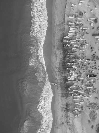 Indien - Cherai Beach - India, Kerala: Enjoy Beaches and Mountain Escapes in One Package - 4