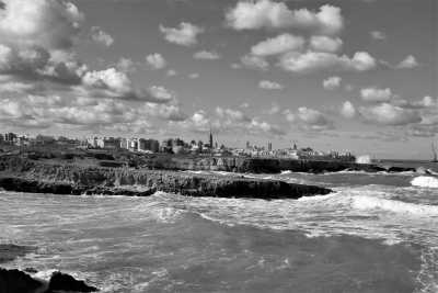 Italy - Monopoli - The secret PUGLIA: live in a real Trullo, discover Alberobello, dive in Polignano a Mare Caves, taste the the world best oil in Ostuni, explore Bari and more! - 3