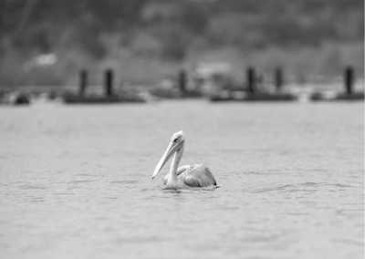 Uganda - Busowooko Falls Jinja - Explore Jinja: Discover Uganda's Beautiful Gem with a Local Adventurer - 1