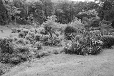 Nepal - Phulchowki - Discover the Western Charms of Nepal: A Journey through Culture, Nature, and Adventure - 1