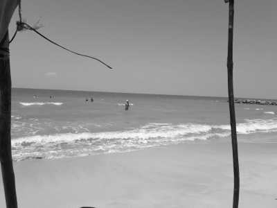 Colombia - Coveñas - Experience the Paradise of Colombia's Caribbean Coast on a Remarkable 30-Day Working Trip: Tolú, Playa El Francés, Coveñas, Isla Palma, Ciénaga la Caimanera and Cistapá Cay - 14