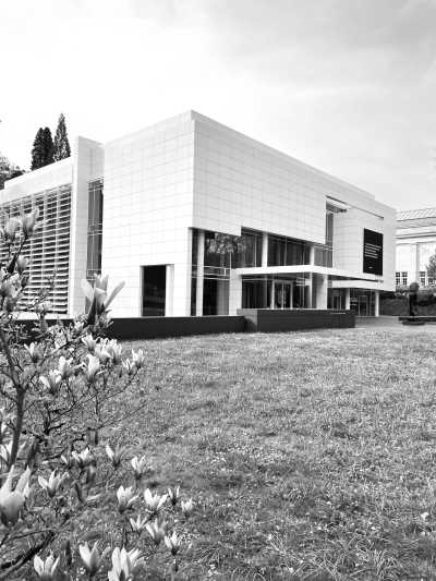 Germany - Baden-Baden - 🎄🌟 Black Forest Christmas Markets 🌟🎄 - 4