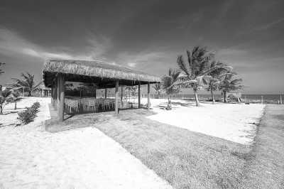 Brazil - Itacimirim Beach - Wellness and Cultural Immersion - 7 nights in Salvador Bahia, Brazil - 5