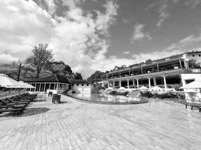 Sri Lanka - Kandy - Join the Ultimate Sri Lankan Extravaganza: Witness the Mesmerizing Kandy Esala Perahera, Indulge in Sri Lankan Food, and Explore Breathtaking Landscapes - 7