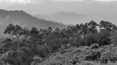 India - Kodaikanal Hill Station - Ancient South India: Experience the Exotic Ancient Temples and Enticing Hills of Tamilnadu - 5