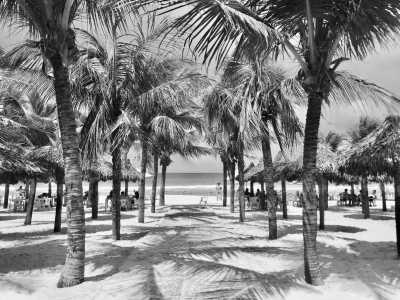 Brasilien - Fortaleza - “Route of Emotions” Adventuring Across the Beautiful Nature of 3 Northern Brazilian States - 1