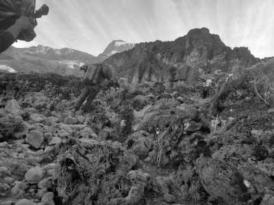 Tansania - Baranco Camp - Scale Kilimanjaro: 7-Day Lemosho Route Summit Ascent in Tanzania