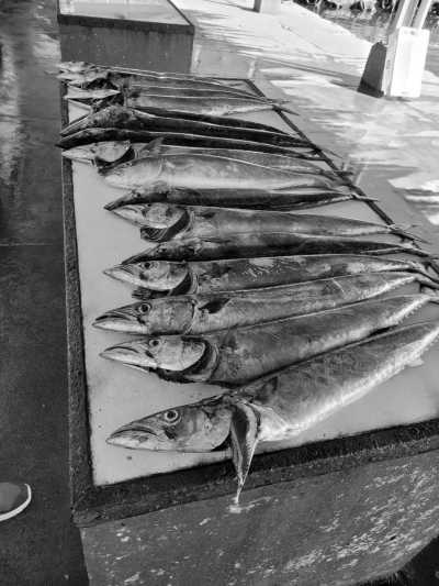 Südafrika - Cape Town - Explore the best of Cape Town, South Africa - 8