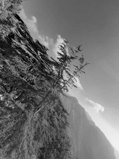 Lebanon - Tannourine El Faouqa - Explore, Hike, Paraglide: Two Days Adventures 🇱🇧 - 2